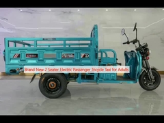 Brand New 2 Seater Electric Passenger Tricycle Taxi for Adults