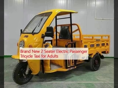 Brand New 2 Seater Electric Passenger Tricycle Taxi for Adults