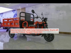 Manufacturers Direct Sales  Long Endurance Electric Tricycle with Cargo Box Products Transport Triciclo Elect