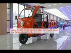 Factory Direct Electric Tricycles Electric Bike 3wheels with Canopy Crop Transport Cargo Tricycles
