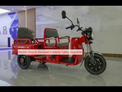 Electric Tricycle Backseat Foldable Safety Guardrail