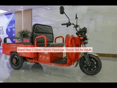 Brand New 2 Seater Electric Passenger Tricycle Taxi for Adults