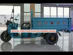 Điện 60v 1200w hàng hóa xe đạp ba bánh