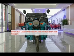 Trike tiện ích điện 60V 1200W cho sản phẩm nông nghiệp và vận chuyển hàng hóa