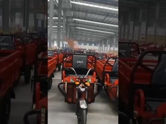 Nhà máy trưng bày