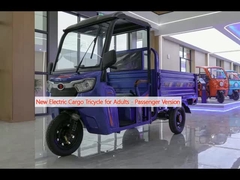 New Electric Cargo Tricycle cho người lớn - Phiên bản hành khách