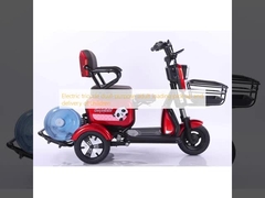 Xe ba bánh điện có mục đích tải người dành cho người lớn và sinh con