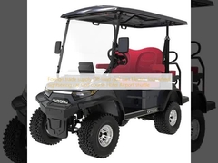 Cung cấp nước ngoài nước ngoài xe golf xe golf điện.