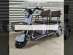 500W động cơ pin nam châm vĩnh cửu xe hơi xe giải trí ba bánh