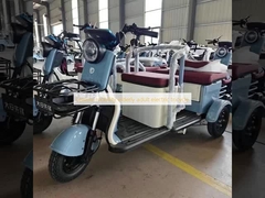 Di chuyển giải trí người cao tuổi người lớn xe ba bánh điện
