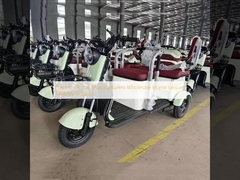 Các nhà sản xuất xe đạp ba bánh điện bán buôn xe tay ga di động cho gia đình