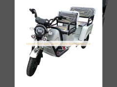 Mô hình giải trí người đi bộ xe ba bánh xe điện hỗ trợ xe pin