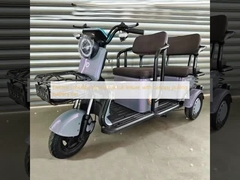 Điện di động ba bánh xe tuk tuk giải trí với mái vòm kéo xe pin