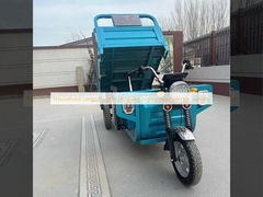 Chiếc xe điện cao công suất leo trèo ba bánh xe chở hàng gia đình
