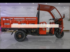 Xe đạp ba xe điện 2 chỗ cho người lớn